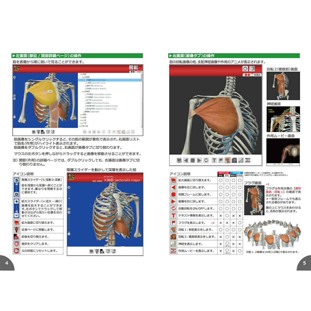 筋ナビプレミアム版 全身の筋 形状 ソフトウェア 名前 名前 イラスト Cgで見る筋肉図典 全身の筋 収録多数 177筋 キャンペーン 筋肉 家筋は３次元で見て学ぶ 顔の表情筋から足底の筋まで 全身の筋を精緻で美しい３ｄｃｇ画像で立体的に表示する解剖学ソフト