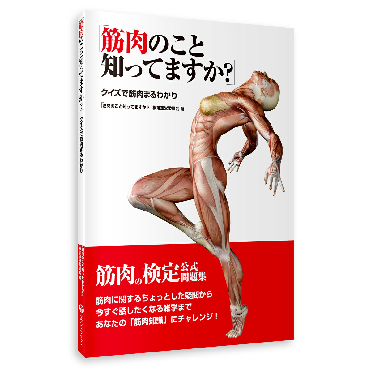 【アウトレット価格】筋肉検定 公式 問題集 「「筋肉のこと知ってますか？」−クイズで筋肉まるわかり」 書籍 雑学 ネタ帳 送料無料  キャンペーン【旧版のためお安くなっています】 筋肉家