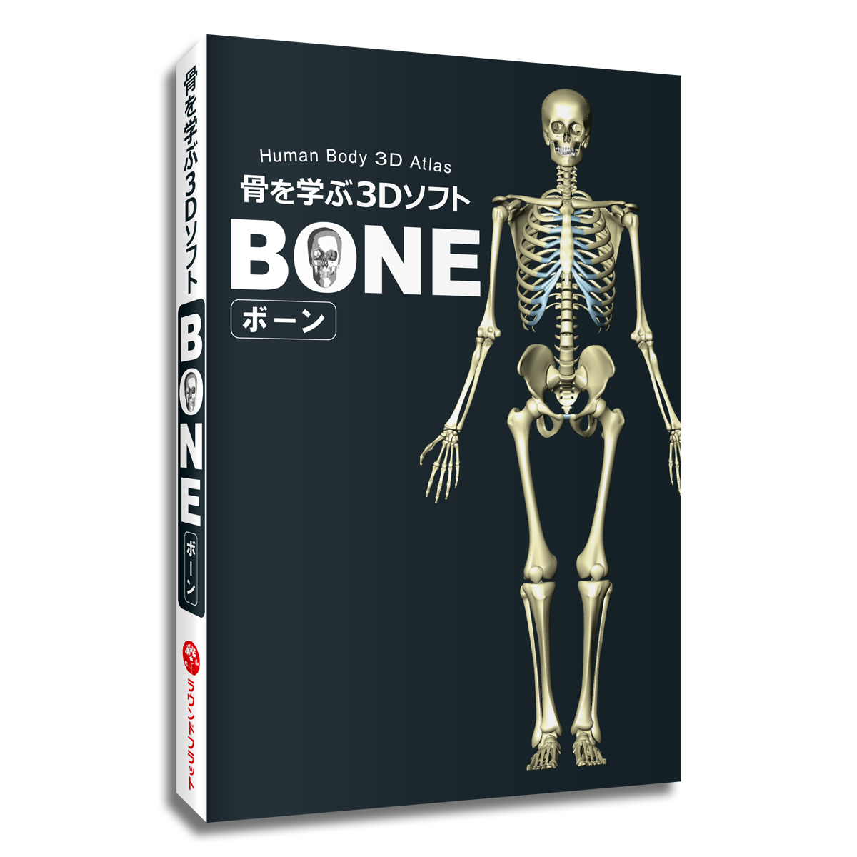 楽天市場 骨 名前 名称 骨を学ぶ３dソフトbone ボーン パソコンソフト Windows Mac 3dcg 骨学 部位 人体 骨格 勉強 学習 日本語 英語 音声 解説 送料無料 キャンペーン 筋肉家