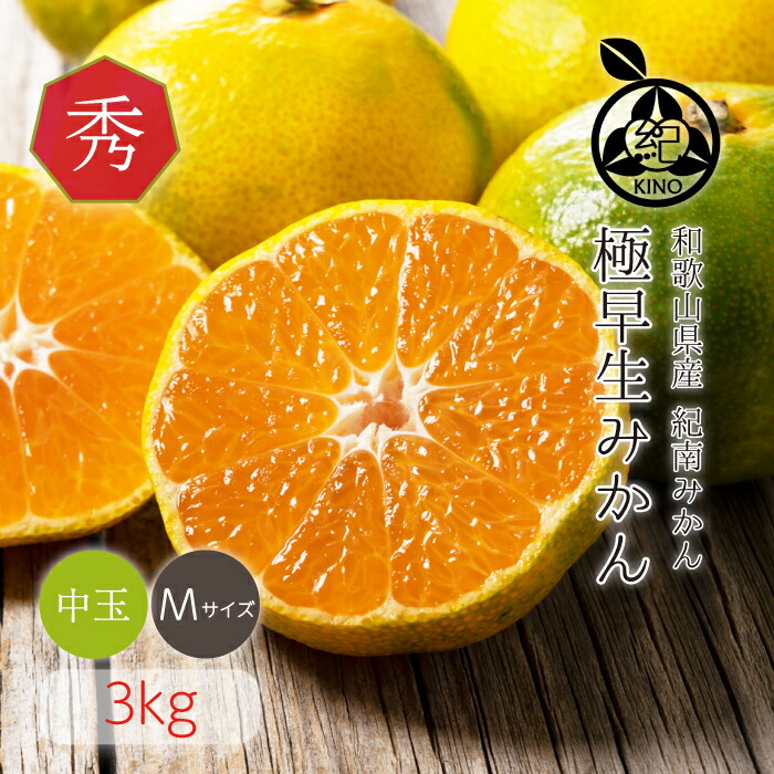 厳選シリーズ　極早生みかん3kg家庭用　陽当たりの良い園地 送料無料】極早生みかん（箱込み3㎏） | 果物/温州みかん 産直
