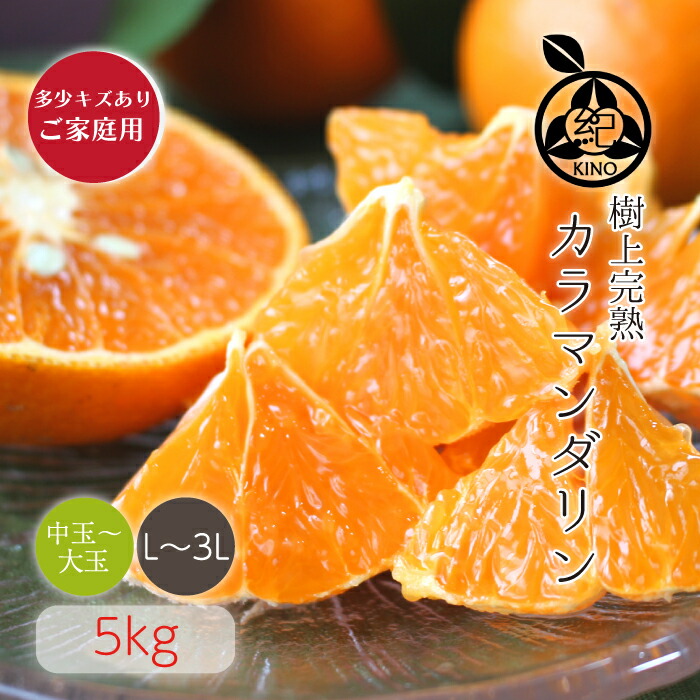 木熟清見オレンジ 【秀品 3Lサイズ 10kg】 送料無料 葉付でお