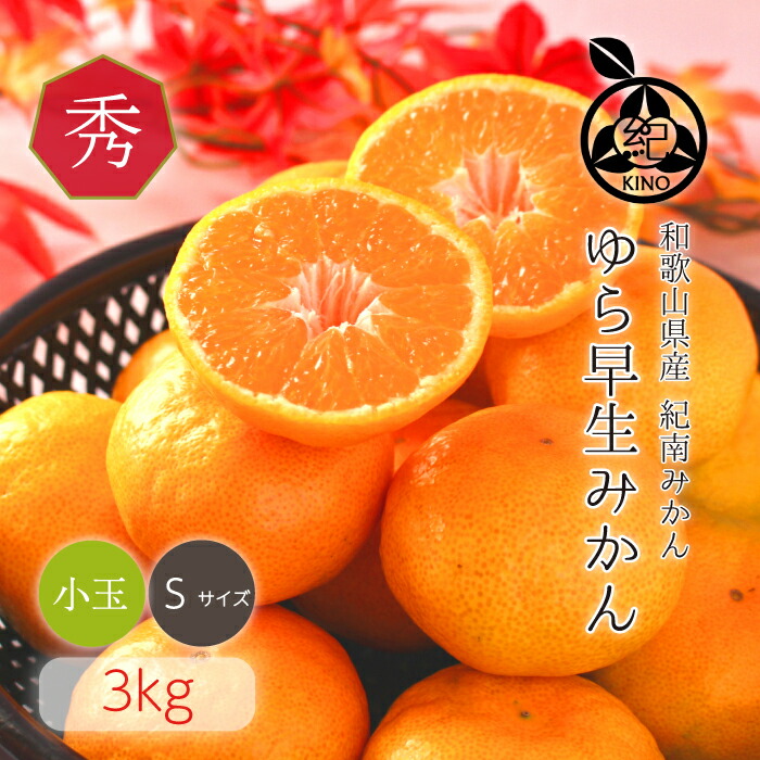 ゆページ　真穴みかん10キロSサイズ＋5キロSサイズ＋お試しみかん ゆ様専用ページ 真穴みかん10キロSサイズ＋5キロSサイズ＋