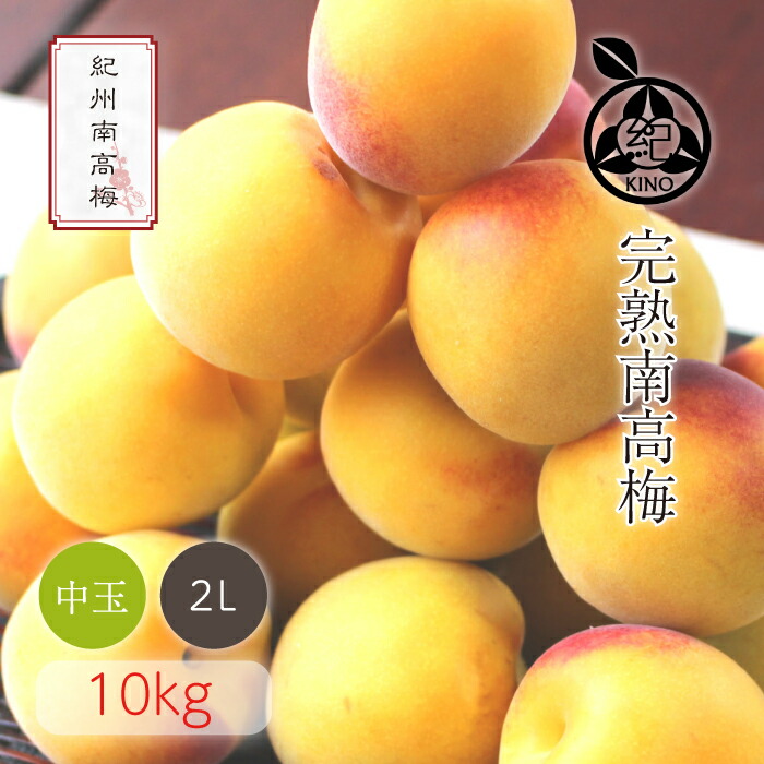南高梅 完熟 本場紀州産 クール便 送料無料<br>【 2L サイズ 10kg 】<br>日本一の南高梅の産地 紀州 みなべ 田辺 より<br>ひと粒ひと粒丁寧に収穫した新鮮な梅を産地直送でお届けします<br>紀州南高梅 生梅 予約 中玉 中粒<br>梅酒用 梅シロップ用 梅ジュース用 梅干し用<br>