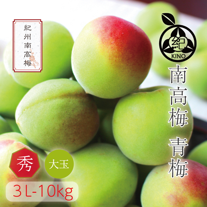 60％OFF】 和歌山 紀州南高梅 完熟梅 3kg i9tmg.com.br