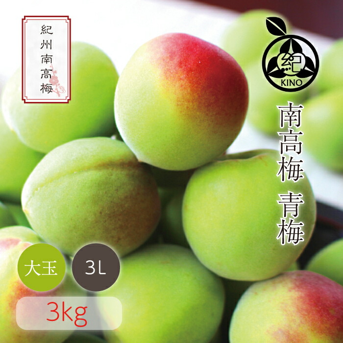 南高梅 青梅 本場紀州産 クール便 送料無料<br>【 3L サイズ 3kg 】<br>日本一の南高梅の産地 紀州 みなべ 田辺 より<br>ひと粒ひと粒丁寧に収穫した新鮮な梅を産地直送でお届けします<br>紀州南高梅 生梅 予約 大玉 大粒<br>梅酒用 梅シロップ用 梅ジュース用 梅干し用<br>