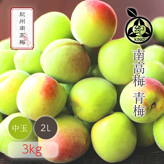 南高梅 青梅 本場紀州産 クール便 送料無料<br>【 2L サイズ 3kg 】<br>日本一の南高梅の産地 紀州 みなべ 田辺 より<br>ひと粒ひと粒丁寧に収穫した新鮮な梅を産地直送でお届けします<br>紀州南高梅 生梅 予約 中玉 中粒<br>梅酒用 梅シロップ用 梅ジュース用 梅干し用<br>