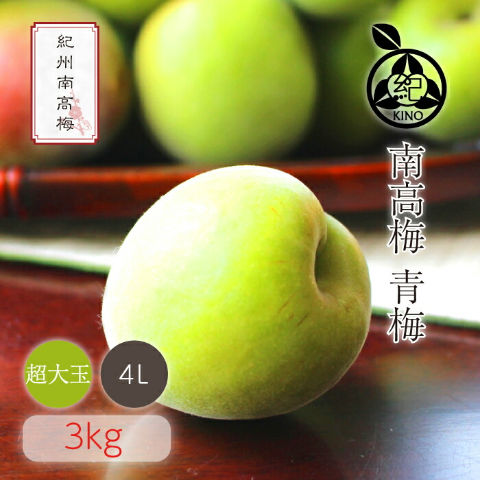 南高梅 青梅 本場紀州産 クール便 送料無料<br>【 4L サイズ 3kg 】<br>日本一の梅の産地 紀州 みなべ 田辺 より<br>ひと粒ひと粒丁寧に収穫した新鮮な梅を産地直送でお届けします<br>紀州南高梅 生梅 予約 超大玉 超大粒<br>梅酒用 梅シロップ用 梅ジュース用 梅干し用<br>