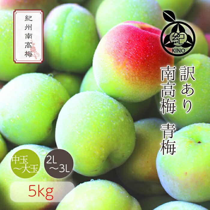 南高梅 青梅 本場紀州産 クール便 送料無料 <br>【訳あり 5kg】<br>日本一の南高梅の産地 紀州 みなべ 田辺 より<br>ひと粒ひと粒丁寧に収穫した新鮮な梅を産地直送でお届けします<br>紀州南高梅 生梅 予約 中玉 大玉<br>梅酒用　梅シロップ用 梅ジュース用 梅干し用<br>