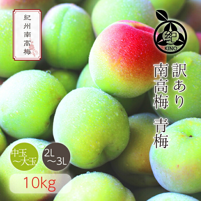 南高梅 青梅 本場紀州産 クール便 送料無料 <br>【訳あり 10kg】<br>日本一の南高梅の産地 紀州 みなべ 田辺 より<br>ひと粒ひと粒丁寧に収穫した新鮮な梅を産地直送でお届けします<br>紀州南高梅 生梅 予約 中玉 大玉<br>梅酒用 梅シロップ用 梅ジュース用 梅干し用<br>