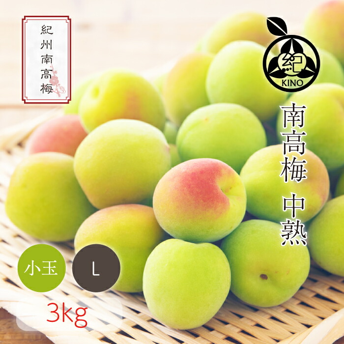 南高梅 中熟 本場紀州産 クール便 送料無料<br>【 L サイズ 3kg 】<br>日本一の南高梅の産地 紀州 みなべ 田辺 より<br>ひと粒ひと粒丁寧に収穫した新鮮な梅を産地直送でお届けします<br>紀州南高梅 生梅 予約 小玉 小粒<br>梅酒用 梅シロップ用 梅ジュース用 梅干し用<br>