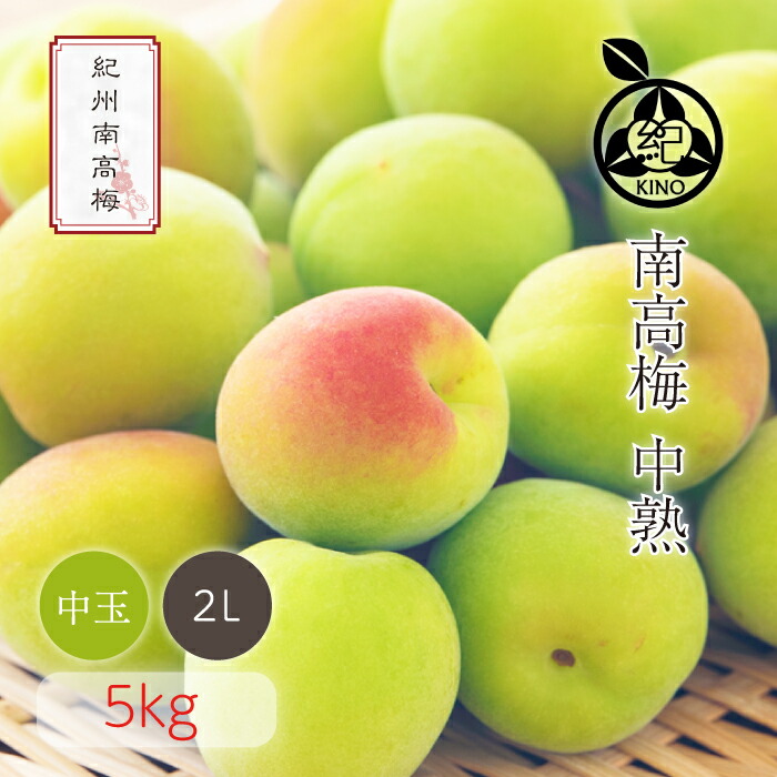 南高梅 中熟 本場紀州産 クール便 送料無料<br>【 2L サイズ 5kg 】<br>日本一の南高梅の産地 紀州 みなべ 田辺 より<br>ひと粒ひと粒丁寧に収穫した新鮮な梅を産地直送でお届けします<br>紀州南高梅 生梅 予約 中玉 中粒<br>梅酒用 梅シロップ用 梅ジュース用 梅干し用<br>