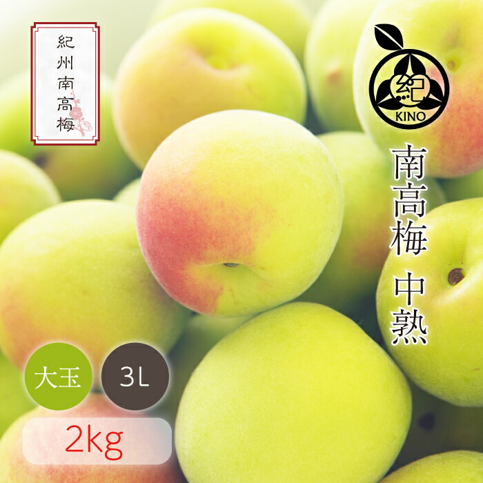 南高梅 中熟 本場紀州産 クール便 送料無料<br>【 3L サイズ 2kg 】<br>日本一の南高梅の産地 紀州 みなべ 田辺 より<br>ひと粒ひと粒丁寧に収穫した新鮮な梅を産地直送でお届けします<br>紀州南高梅 生梅 予約 大玉 大粒<br>梅酒用 梅シロップ用 梅ジュース用 梅干し用<br>