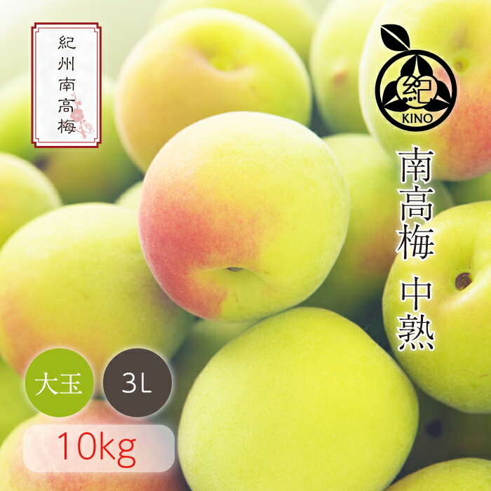 南高梅 中熟 本場紀州産 クール便 送料無料<br>【 3L サイズ 10kg 】<br>日本一の南高梅の産地 紀州 みなべ 田辺 より<br>ひと粒ひと粒丁寧に収穫した新鮮な梅を産地直送でお届けします<br>紀州南高梅 生梅 予約 大玉 大粒<br>梅酒用 梅シロップ用 梅ジュース用 梅干し用<br>