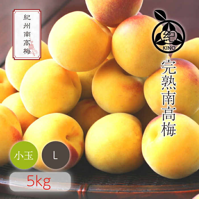 南高梅 完熟 本場紀州産 クール便 送料無料<br>【 L サイズ 5kg 】<br>日本一の南高梅の産地 紀州 みなべ 田辺 より<br>ひと粒ひと粒丁寧に収穫した新鮮な梅を産地直送でお届けします<br>紀州南高梅 生梅 予約 小玉 小粒<br>梅酒用 梅シロップ用 梅ジュース用 梅干し用<br>