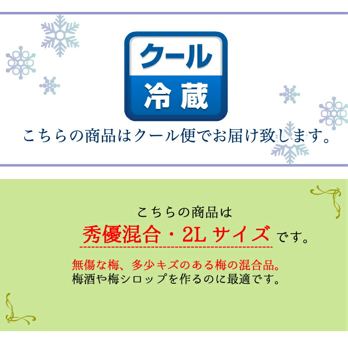 超特価激安 南高梅 青梅 送料無料 本場紀州産 秀優混合 2l サイズ 10kg 産地の市場で厳選したブランド梅を その日のうちに丁寧に手詰めし発送致します 和歌山産 みなべ 田辺 予約梅酒用 梅シロップ用 梅ジュース用 生梅 梅 中玉 中粒 紀の 最新情報 Dev