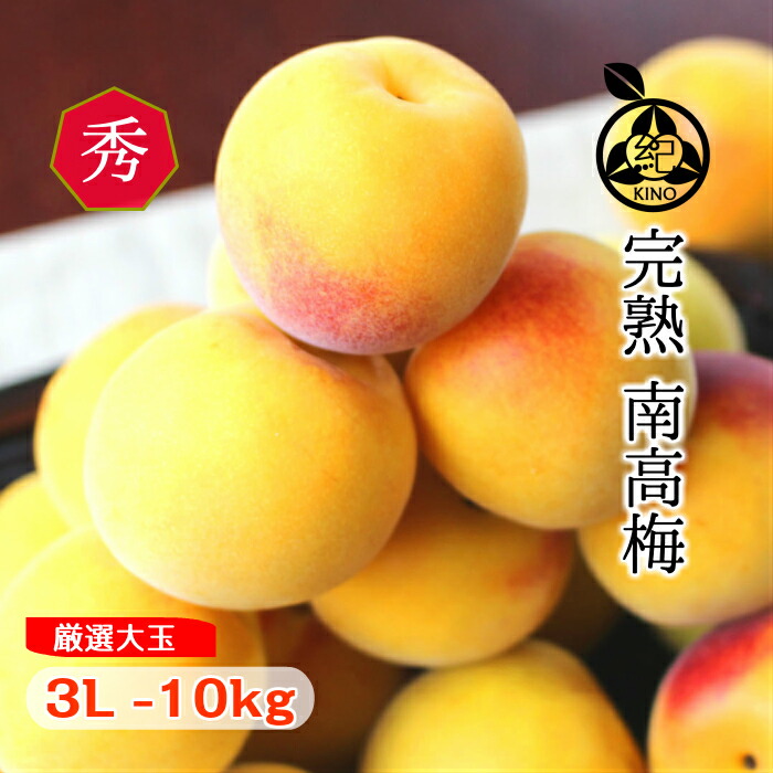 今月限定 特別大特価 楽天市場 完熟 南高梅 梅干し用 送料無料 本場紀州産 秀品 3l サイズ 10kg 産地の市場で厳選した南高梅を 丁寧に手詰めし発送いたします和歌山産 みなべ 田辺 予約梅ジャム用 梅酒用 梅干し 梅干生梅 梅 大玉 大粒 紀の 紀州の旬マルシェ