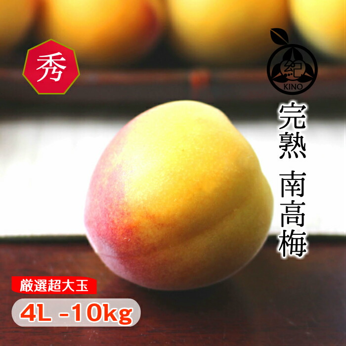 新版 楽天市場 完熟 南高梅 梅干し用 送料無料 本場紀州産 秀品 4l サイズ 10kg 産地の市場で厳選した南高梅を 丁寧に手詰めし発送いたします和歌山産 みなべ 田辺 予約梅ジャム用 梅酒用 梅干し 梅干生梅 梅 大玉 大粒 紀の 紀州の旬マルシェ 紀の 人気