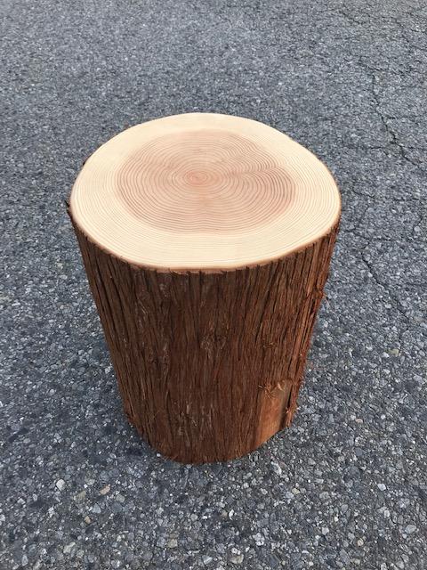 To Place Your Garden Log Chair In The Complete Set You 杉 Sugi Log Round Slices With Skin 2 Pieces Set Gunma Prefecture Produced Wood Solid