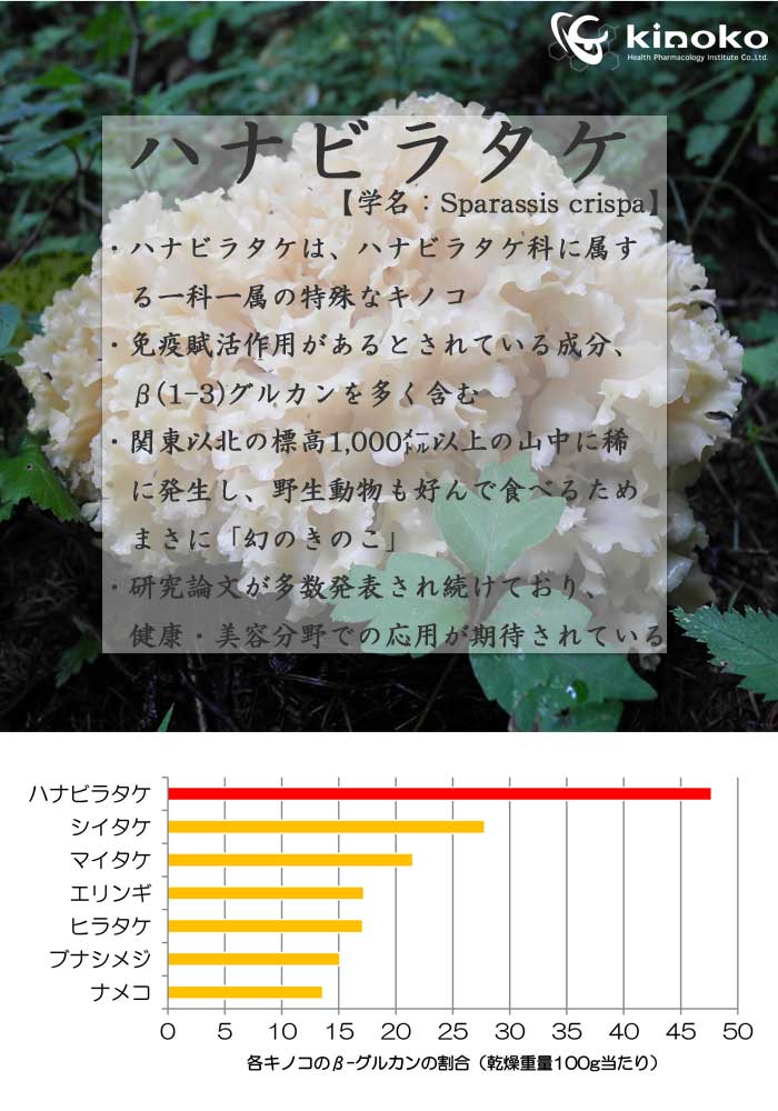 送料無料 ハナビラタケ メシマコブ マッシュ パワー エキス Pl 08菌株 はなびらたけ 癌 免疫 ベータグルカン きのこ エキスドリンク 国産 無添加 桑黄 Prescriptionpillsonline Is