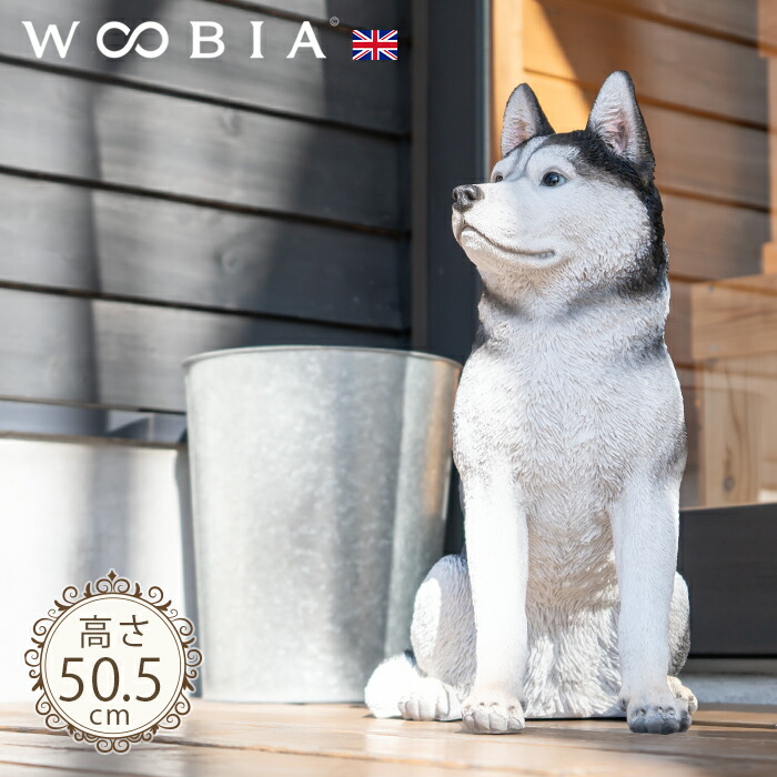 犬の置物 楽天市場】ちょこんと座るわんこ《 シベリアンハスキー (50.5cm