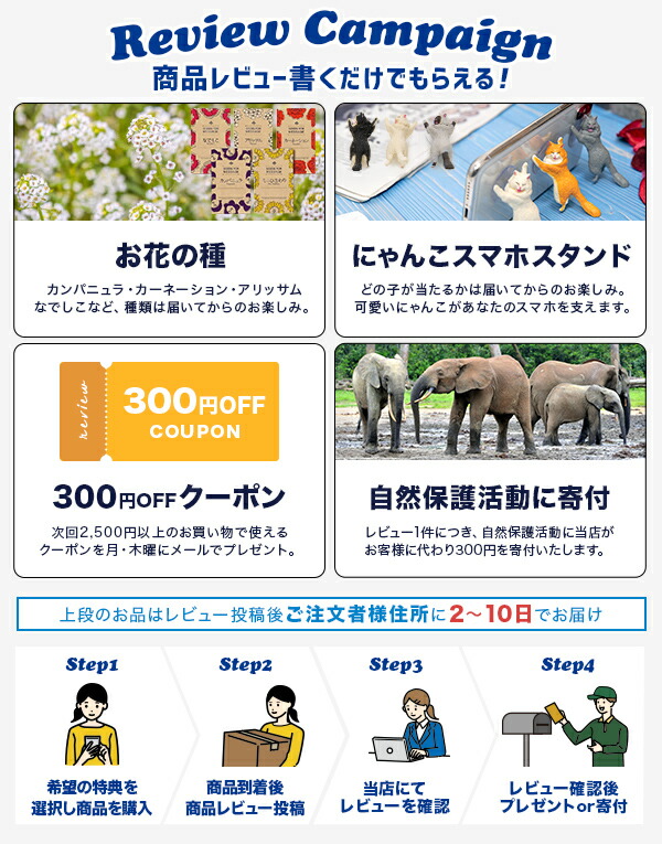 レビューキャンペーン