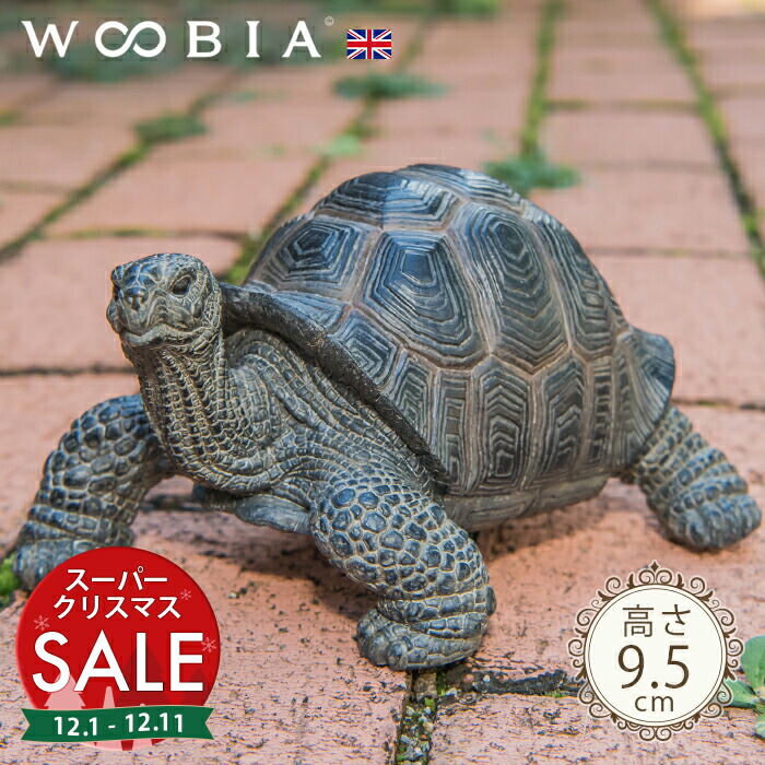 楽天市場】カメ 置物 Aタイプ リアルな亀の置物 爬虫類 縁起物 幸運