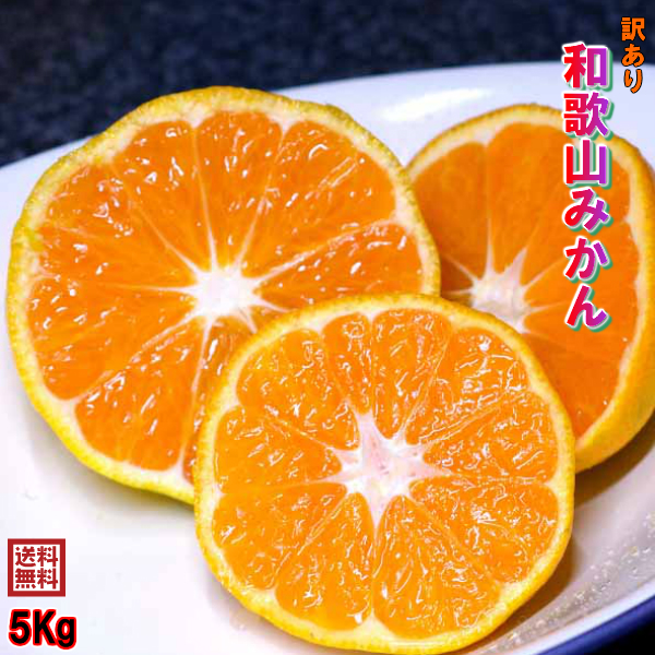 配達日指定不可となります 5kg みかん 健康維持 年越し 和歌山県産 果物 採れ