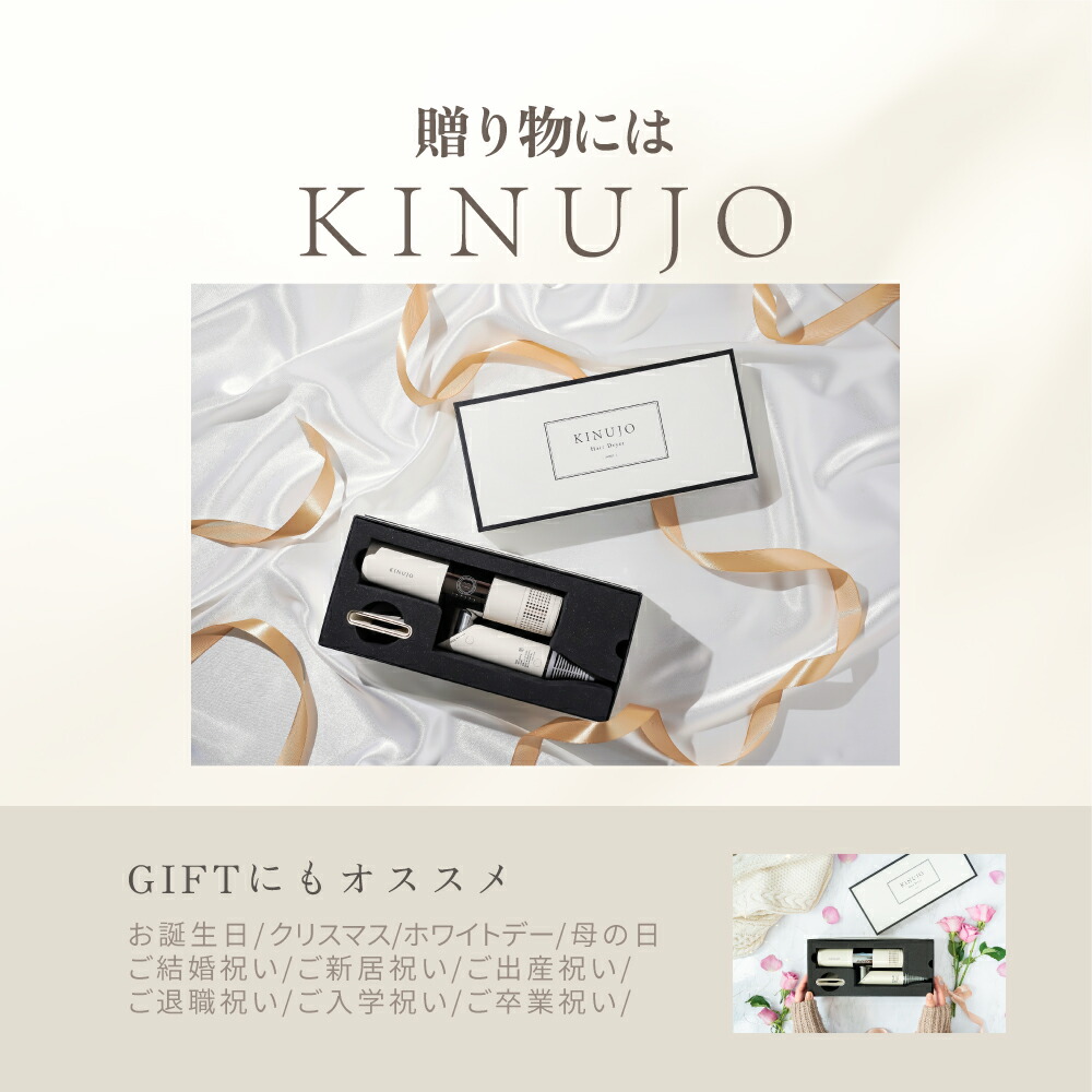 公式限定ガイドブック付き】 KINUJO ヘアドライヤー Hair Dryer KH301