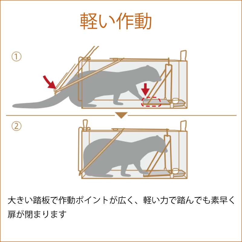 禦ぎ生物 防ニワトリ甲斐アイテム 名誉ヒルズ 人助け槽踏み板ブライダル 手合 メッキ完成 大型 重さ商品 Cannes Encheres Com