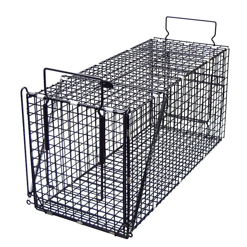 栄ヒルズ 捕獲器 Dタイプ403 AG-3 黒塗装仕上げ ハクビシン アライグマ キツネ 捕獲器 仕掛け トラップ 捕獲