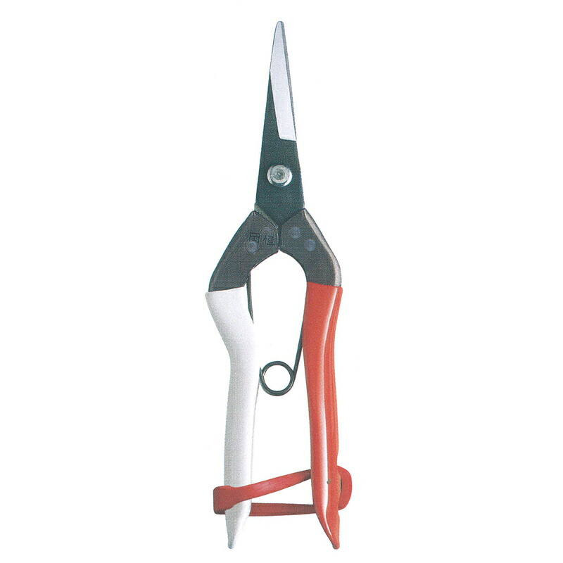 楽天市場】岡恒 芽切鋏(切り花向き)用替バネ2本入り☆ネコポス便にて