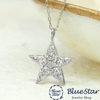 11石のダイヤモンドで描いた星のデザインネックレス 40cm　Pt BlueStar