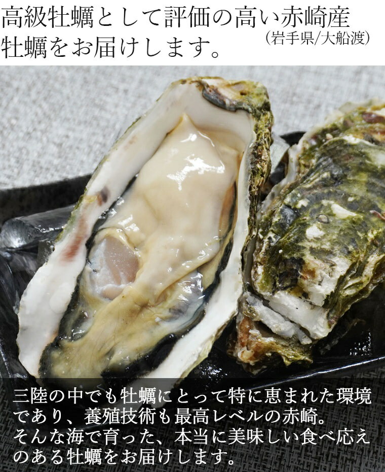 市場 岩手県 豊穣かき カキ 大船渡 殻付き牡蠣 冷凍 10個 生食可 かき 赤崎産