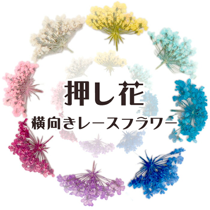 楽天市場 デコパーツ 71 押し花 横向きレースフラワー 6色 花 ドライフラワー 赤 レッド ピンク 水色 ブルー 紫 パープル カラフル セット アソート キット レジン 貼り絵 コラージュ ハーバリウム 高品質 真空パック Partsworld パーツワールド