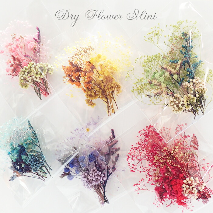 引越し処分様◆【訳あり】ドライフラワー 花びら mix（701ハンドメイド） 引越し処分様◇【ドライフラワー】花びらつぼみ mix（725 レジン