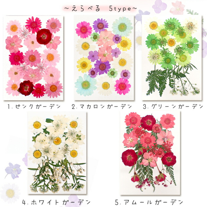 デコパーツ 51 押し花 ガーデン 花 定番のお歳暮 ドライフラワー 薔薇 バラ 赤 レッド ピンク 紫 パープル カラフル セット 貼り絵 アソート レジン キット コラージュ ハーバリウム 真空パック 国内発送 花材 素材 材料 高品質 デコパーツ 51 押し花 ガーデン 花 定番のお歳暮 ドライフラワー 薔薇 バラ 赤 レッド ピンク 紫 パープル カラフル セット 貼り絵 アソート レジン キット コラージュ ハーバリウム 真空パック 国内発送 花材 素材 材料 高品質