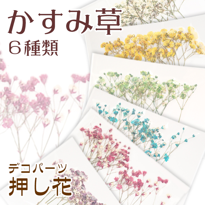 市場 デコパーツ レッド セット ブルー 小さめ 70.押し花 かすみ草 紫 小さい ピンク 水色 パープル ドライフラワー カラフル