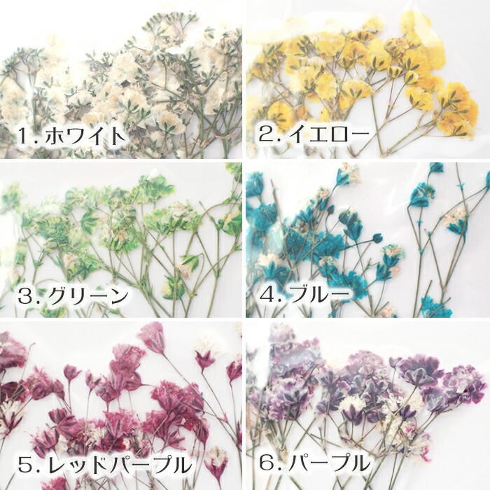 デコパーツ 70 押し花 ブルー ドライフラワー セット パープル 小さめ かすみ草 カラフル ピンク 水色 小さい 紫 レッド