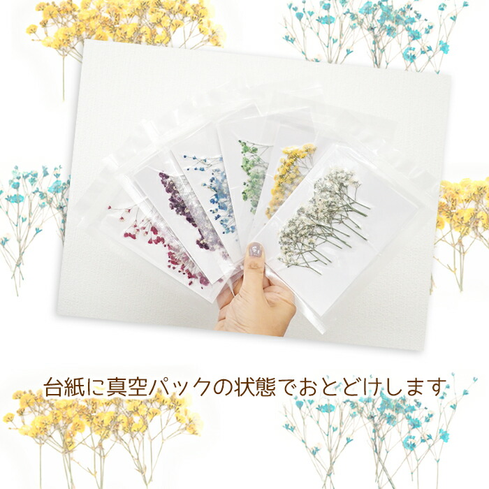 デコパーツ 70 押し花 ブルー ドライフラワー セット パープル 小さめ かすみ草 カラフル ピンク 水色 小さい 紫 レッド