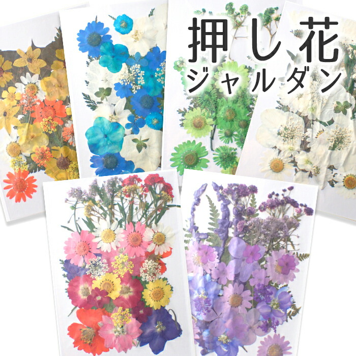 楽天市場】デコパーツ【82. 押し葉 グリーンリーフ】 押し花 四つ葉 