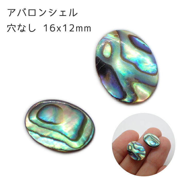 楽天市場】20%オフ スーパーSALE☆【74.アバロン シェル 穴なし