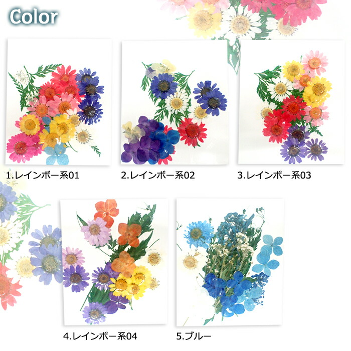 市場 押し花パーツ 5タイプ レッド 薔薇 ピンク 花 赤 紫 1 押し花アソート カラフル パープル バラ ドライフラワー