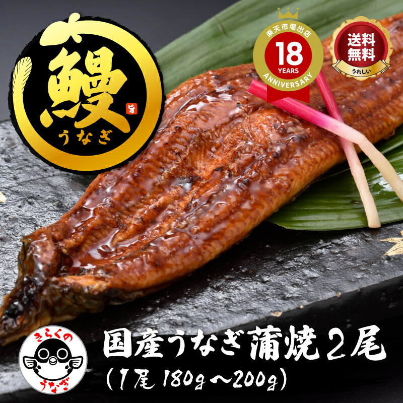 母の日 父の日 ＼約200gの特大サイズ／たれ・山椒付！「国産うなぎ蒲焼2尾／超冷」 鹿児島 うなぎ 蒲焼 冷凍 真空 送料無料 土用 丑の日 のし プレゼント お礼 お祝い グルメ 食品