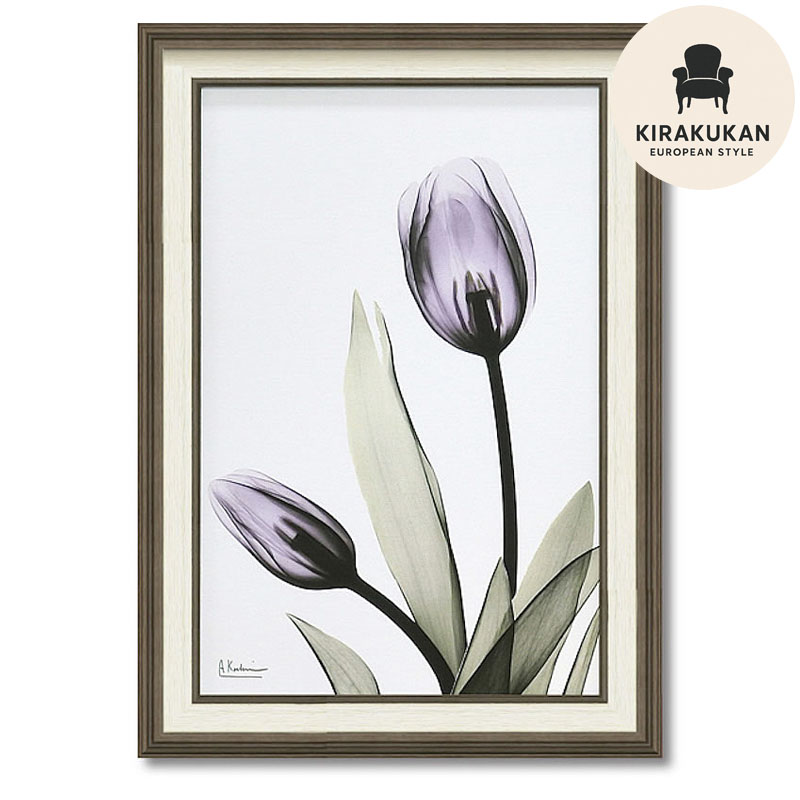X RAY キャンバスアート 「 チューリップ 」 Mサイズ 絵画 インテリア 壁掛け 絵画 額入り 絵画 ポスター 絵画 花 インテリア 雑貨 アンティーク アンティーク調 フラワー レントゲン ヨーロピアン インポート ポスター