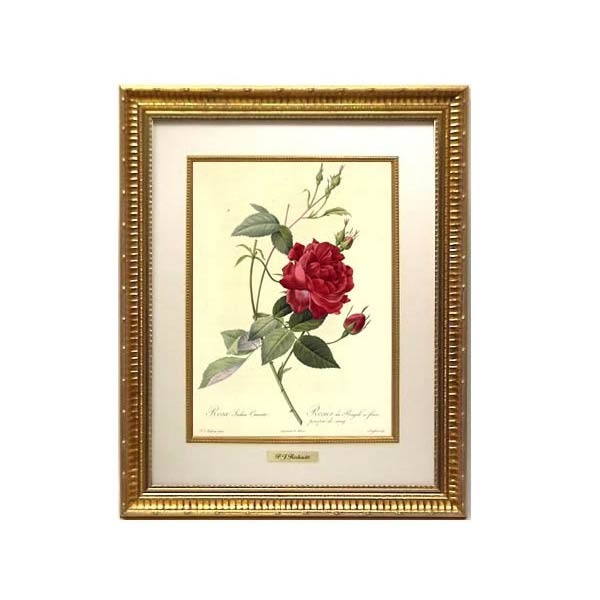 楽天市場】絵画 インテリア ルドゥーテ 絵額 複製画 受注生産