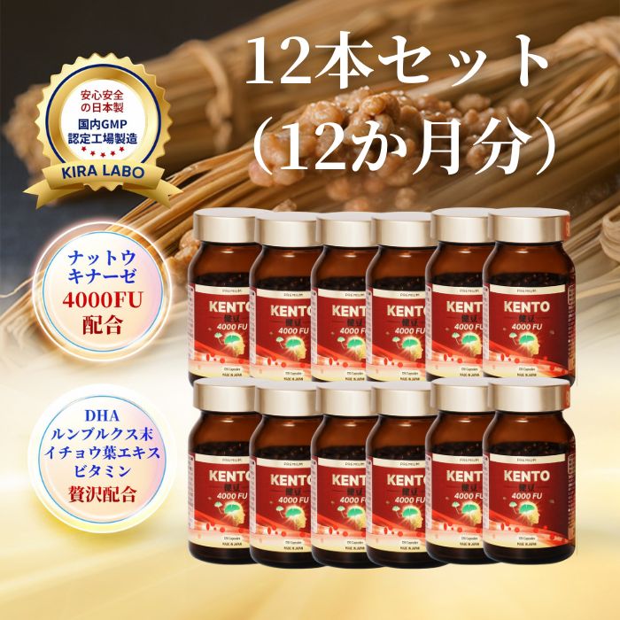 【高濃度 ナットウキナーゼ】プレミアム健豆 4000FU 12箱セット 1440粒 360日分 DHA イチョウ葉 ルンブルクス ミミズ酵素 納豆菌 エラスチン ビタミンB6 ビタミンD 葉酸 サラサラ 健康維持 サプリメント 血流 血栓 めぐり 善玉菌 日本製 KIRALABO キララボ 送料無料