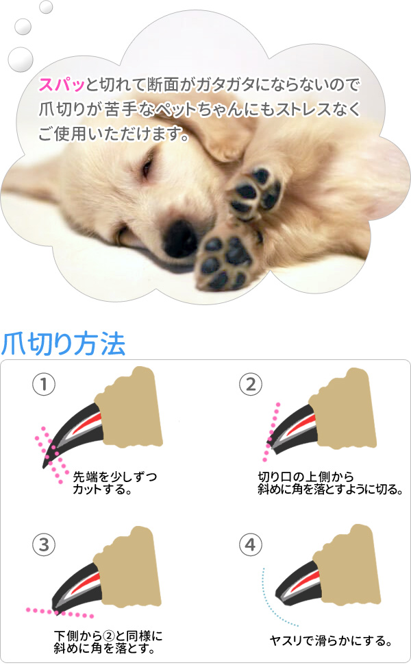 楽天市場 爪切り 犬 猫 ペット用 爪ヤスリ ニッパー Sサイズ ネイルトリマー つめやすり 深爪防止 安全ストッパー ニッパータイプ ネイルケア グルーミング トリマー ペット用品 犬用品 猫用品 送料無料 在庫処分 キラキラハイム