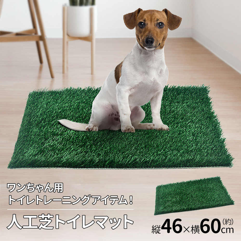 楽天市場】【最大350円OFFクーポン配布26日9:59迄】 トイレシート 人工芝 犬 ペットシート おしっこマット ペットトイレシート ペットトイレ  ペットシーツ トイレシーツ トイレ しつけ 洗える 室内 ペット用トイレ 犬用トイレ 繰り返し使える 送料無料 : キラキラハイム