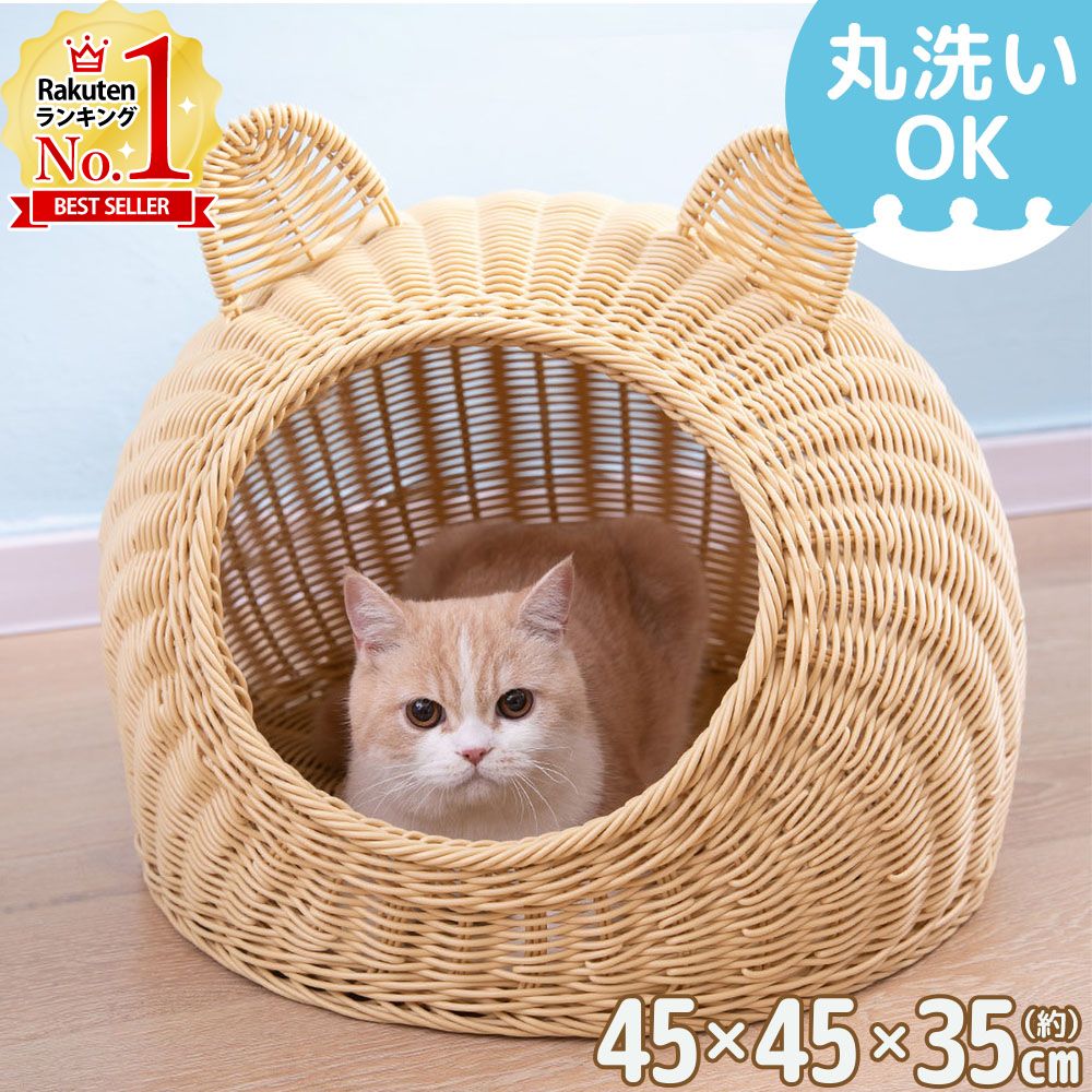【楽天市場】【半額クーポン 先着利用順5枚限定 4月1日0時～】 猫