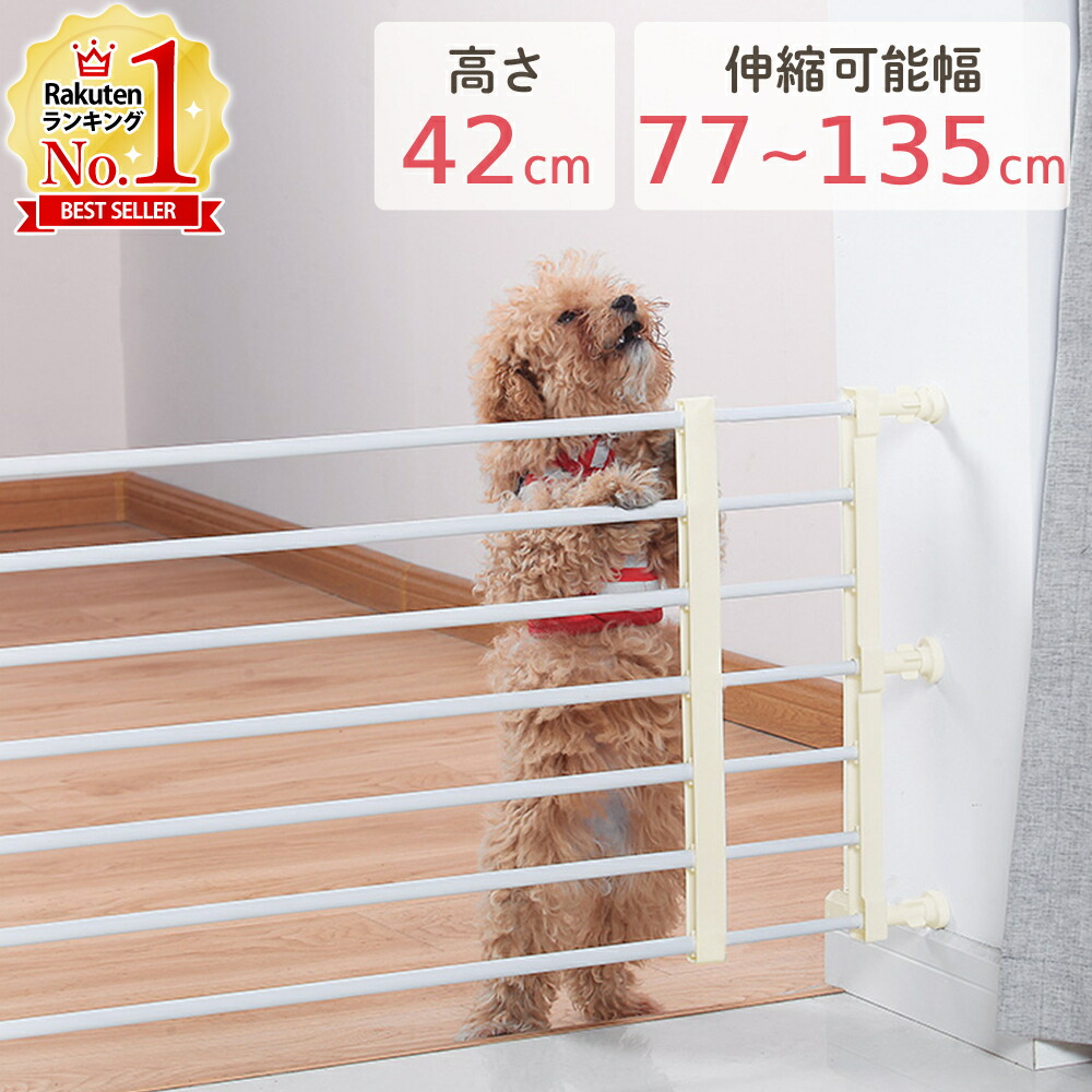 楽天市場】【半額&5%OFFクーポン配布4日20時〜 利用条件あり】 ペット